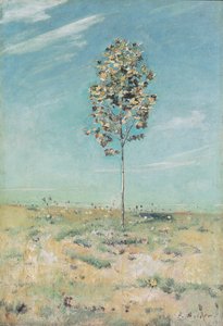 De kleine plataan door Ferdinand Hodler
